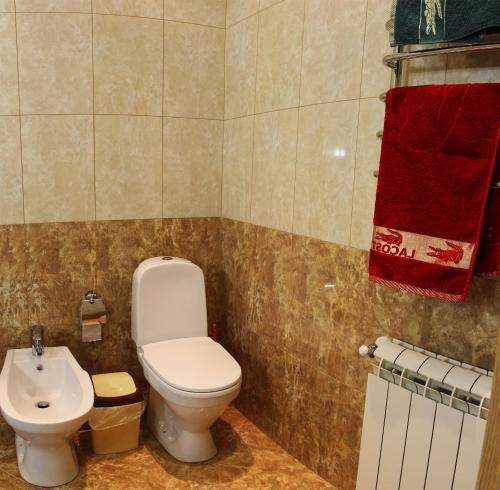 a bathroom with a toilet and a sink at Zakarpatskiy Oazis in Karpaty