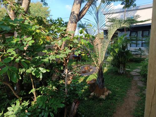 a garden with trees and plants in front of a building at Shalakwe Hills-Inn Guesthouse Kasane in Kasane