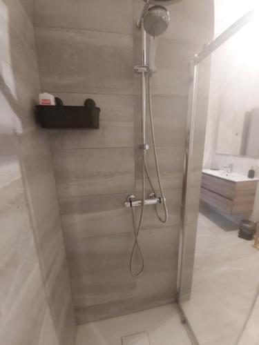 een douche met een glazen deur in de badkamer bij La belle Éden Gite Bastogne in Bastenaken