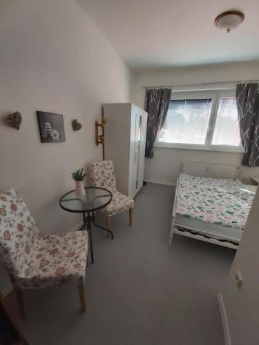 Postel nebo postele na pokoji v ubytování Apartmán Tony Slapy