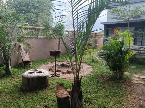 a garden with a palm tree and a grill at Shalakwe Hills-Inn Guesthouse Kasane in Kasane