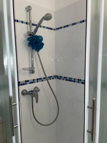 une douche avec pommeau de douche dans une salle de bain dans l'établissement Port Leucate : superbe appartement pleine vue mer, à Leucate