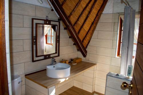 een badkamer met een wastafel en een spiegel bij Creekside in the City in Johannesburg