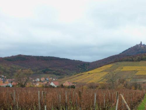 Afbeelding uit fotogalerij van Apartment Route du Vin Centre Alsace in Orschwiller