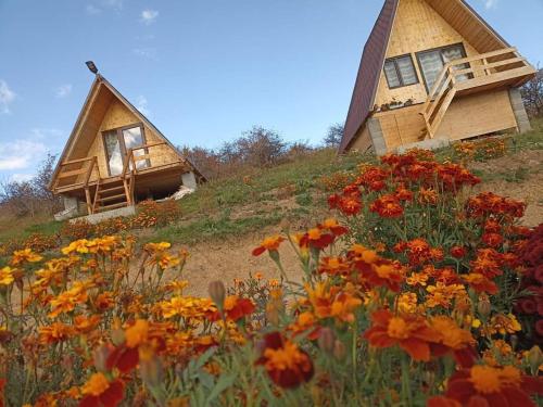 a house on top of a hill with flowers at Căsuțele din Zăbran in Gornenţi