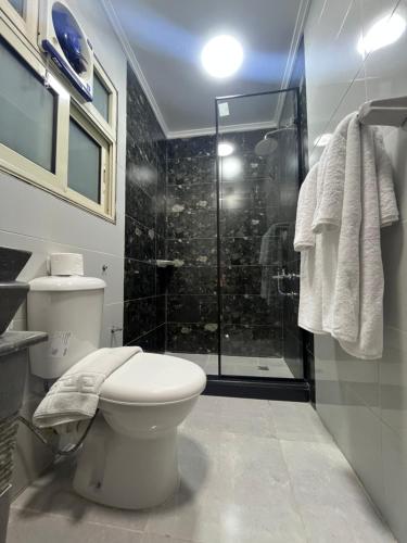 a bathroom with a toilet and a shower at Crowne Pyramids View inn in Cairo