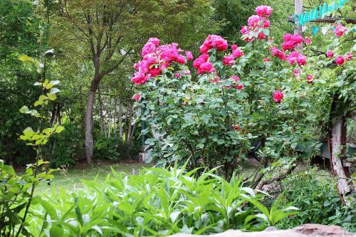 Galeriebild der Unterkunft Tomillo Alojamiento Unidad 1 Bed and Breakfast Habitación con baño SIN COCINA in Potrerillos