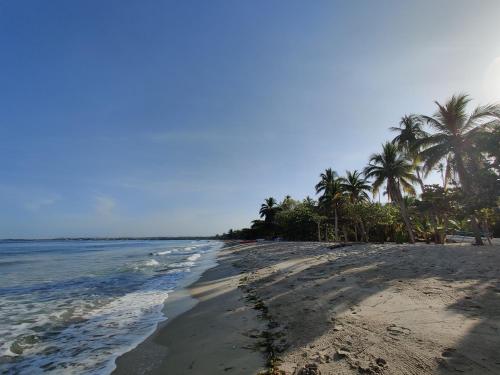 a sandy beach with palm trees and the ocean at Cabaña Villa Eugenia in Rincón