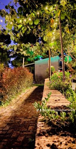 a cobblestone path with trees and plants in front of a building at Tiny Houses Premium - Casa Barcelona in Duitama