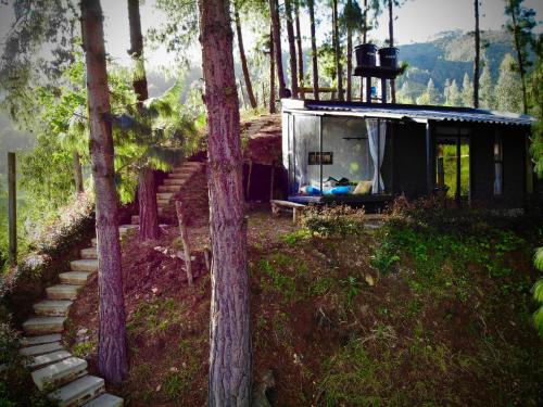 a tiny house in the woods with a staircase at Tiny Houses Premium - Casa Barcelona in Duitama