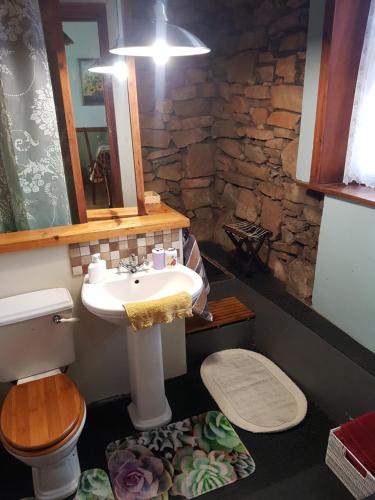 a bathroom with a sink and a toilet and a mirror at pansy in Joubertina