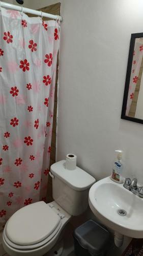 bagno con servizi igienici e lavandino con tenda per la doccia di Casa roble20 a El Alcanfor