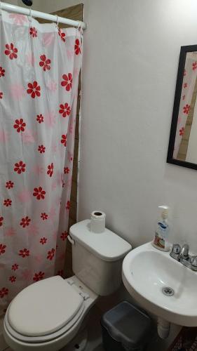 Casa roble20 – Photos 2