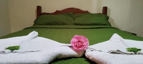 eine rosa Rose auf einem Bett in der Unterkunft Casa Lora, camino a las playas. in Puerto Jiménez