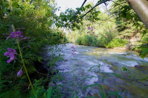 Uppa Creek Cabin – Photos 5