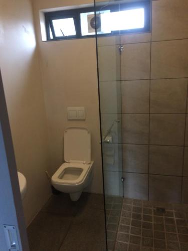 La salle de bains est pourvue de toilettes et d'une cabine de douche en verre. dans l'établissement Aan de weg, au Cap