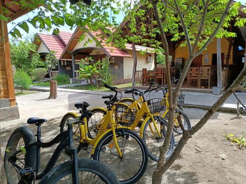 una fila di biciclette gialle parcheggiate accanto a un albero di Meno Turtle BUNGALOWS a Gili Meno
