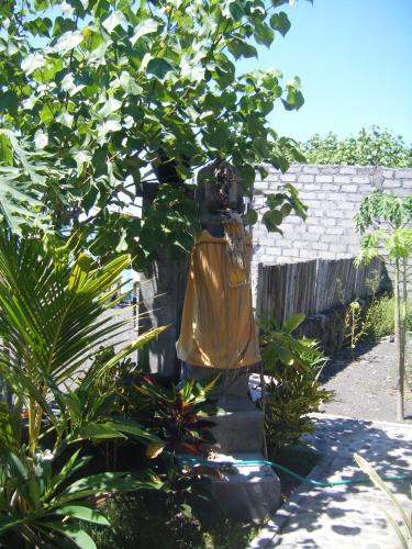 Сад в Alur Beach Homestay