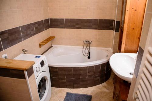 ブダペストにあるLinden Apartmentのバスルーム(洗濯機、シンク付)