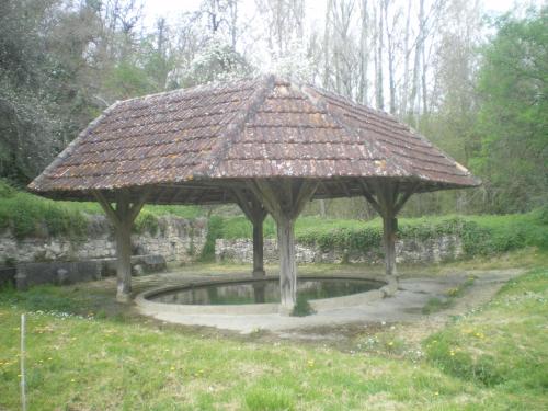 a large umbrella in a garden with a pond at Le Poulailler in Lavit