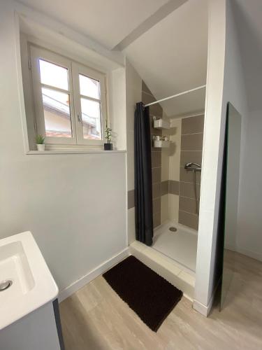 une salle de bain avec douche et lavabo dans l'établissement Logement hyper centre et près de la plage 1er étage, à Biarritz