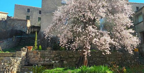 Κήπος έξω από το maison MON REVE