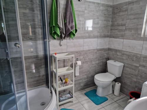 La petite salle de bains est pourvue d'une douche et de toilettes. dans l'établissement Domek Konrad - balia ogrodowa dodatkowo płatna, à Kościerzyna