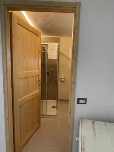 a bathroom with a shower and a wooden door at Domus de Diana in Olbia