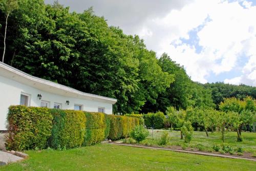 un jardín con un seto junto a un edificio blanco en Ferienwohnung Patzig auf Rügen, en Patzig