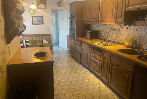 a kitchen with wooden cabinets and a counter top at MAM Monteurzimmer in Seligenstadt