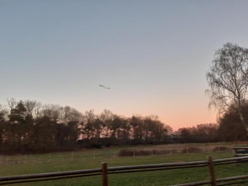 een vogel die in de lucht vliegt over een veld bij B&B Bourgondisch Lomm in Lomm