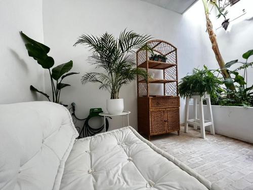 a bedroom with potted plants and a bed at Casa Isabel aeropuerto feria Valencia in Partida de La Cañada