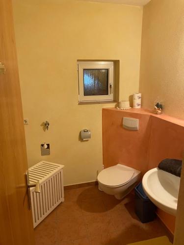 a bathroom with a white toilet and a sink at Zur zornigen Ameise in Thale