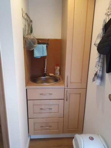 a bathroom with a sink and a toilet at Farm Glamping Ráckeve in Ráckeve