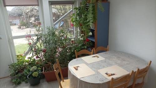 ein Esszimmer mit einem Tisch und einigen Pflanzen in der Unterkunft Agroturystyka Pod Kogutem in Zamość