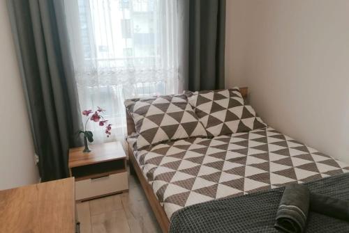 - un salon avec un canapé et une fenêtre dans l'établissement Apartament Pruszcz Gdański 1, à Pruszcz Gdański