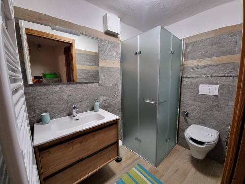 y baño con lavabo, ducha y aseo. en Appartamenti Lucianaz en Rhêmes-Notre-Dame