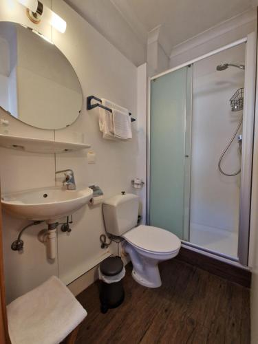 ein Bad mit einem WC, einem Waschbecken und einer Dusche in der Unterkunft Hotel Montana in De Panne