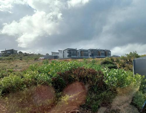 a building on a hill with a field of flowers at Superb accommodation in Stilbaai in Stilbaai