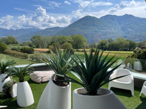 a group of plants in white pots on a patio with mountains at Art B&B Design in Costa Volpino