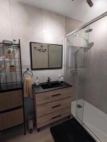 une salle de bain avec un lavabo et une douche en verre dans l'établissement EDEN GOLFE Plages à pieds Parking Privé, à Vallauris