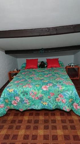 un lit avec une couette verte et deux oreillers rouges dans l'établissement Appartement T2 44m2 - Chez Maya, à Agde