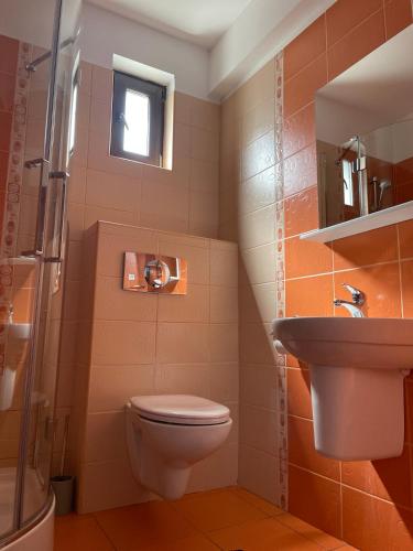 a bathroom with a toilet and a sink at Valea Salbatica in Şinca Nouă