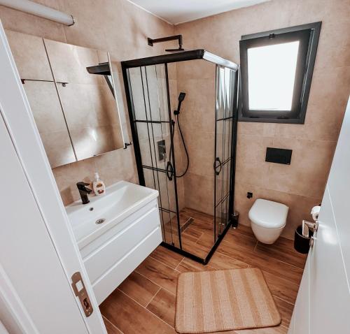 a bathroom with a shower and a sink and a toilet at NEW Cozy Garden Apartment Pool & Terrace near Sea for up to 6 people in Akanthou