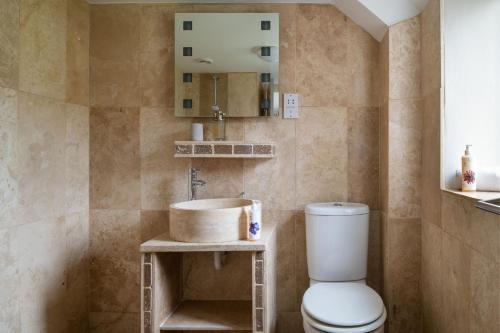 a bathroom with a toilet and a sink at Puffin Cottage in Ilfracombe