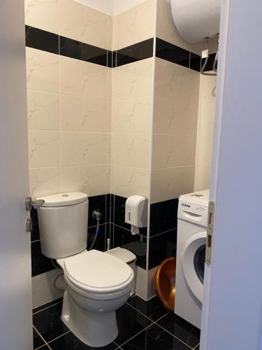 een badkamer met een toilet en een wasmachine bij Mediterranean Apartments in Himare