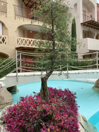 a tree in a flower pot next to a swimming pool at Cascina Jesolana in Lido di Jesolo