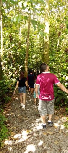 Cabaña bosque celeste – Photos 4