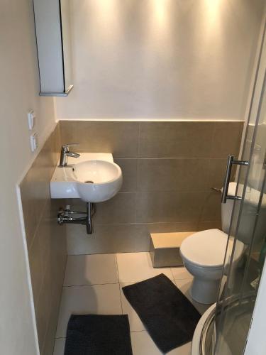 a bathroom with a sink and a toilet at Sunlit apartment close to city center in Prague