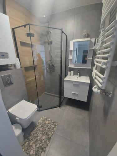 y baño con ducha, aseo y lavamanos. en Apartament Sarbinowo, en Sarbinowo
